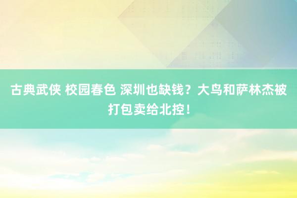 古典武侠 校园春色 深圳也缺钱？大鸟和萨林杰被打包卖给北控！