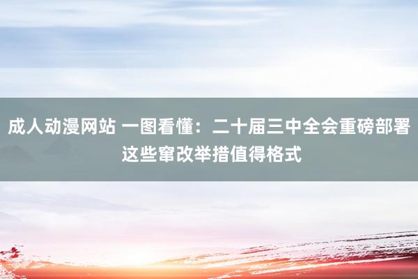 成人动漫网站 一图看懂：二十届三中全会重磅部署 这些窜改举措值得格式