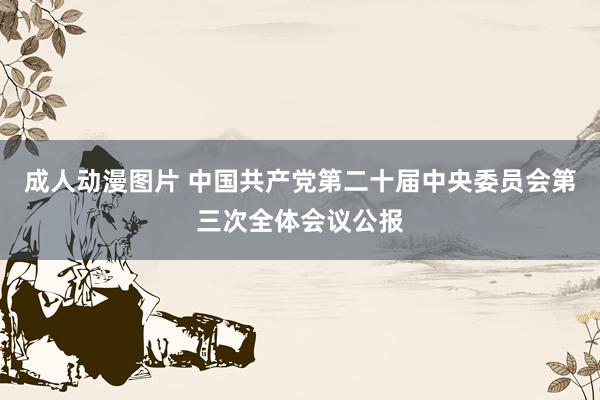 成人动漫图片 中国共产党第二十届中央委员会第三次全体会议公报