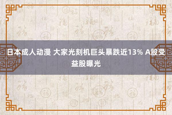 日本成人动漫 大家光刻机巨头暴跌近13% A股受益股曝光