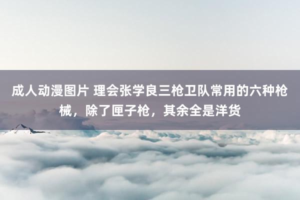 成人动漫图片 理会张学良三枪卫队常用的六种枪械，除了匣子枪，其余全是洋货