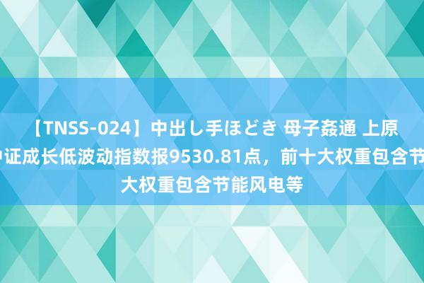 【TNSS-024】中出し手ほどき 母子姦通 上原さゆり 中证成长低波动指数报9530.81点，前十大权重包含节能风电等