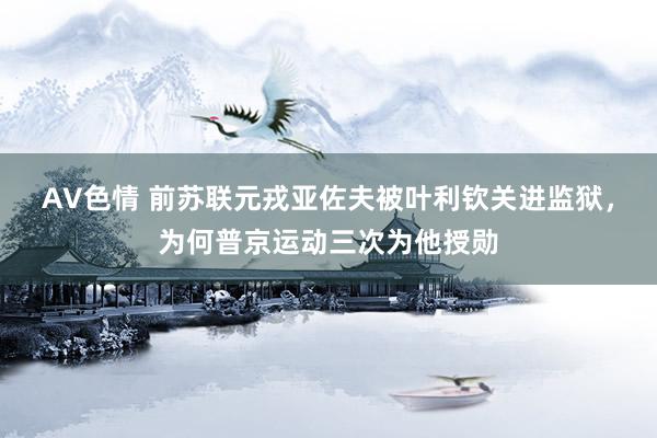 AV色情 前苏联元戎亚佐夫被叶利钦关进监狱，为何普京运动三次为他授勋