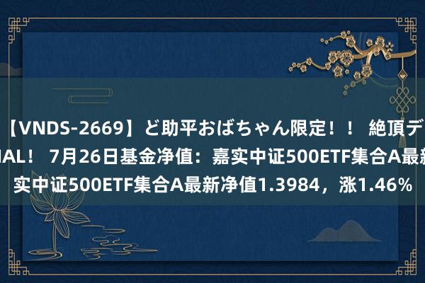 【VNDS-2669】ど助平おばちゃん限定！！ 絶頂ディルドオナニーSPECIAL！ 7月26日基金净值：嘉实中证500ETF集合A最新净值1.3984，涨1.46%