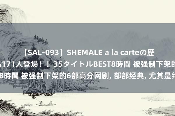 【SAL-093】SHEMALE a la carteの歴史 2008～2011 国内作品171人登場！！35タイトルBEST8時間 被强制下架的6部高分网剧, 部部经典, 尤其是终末一部