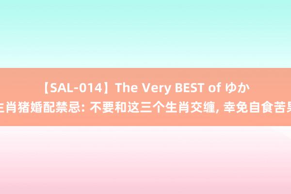 【SAL-014】The Very BEST of ゆか 生肖猪婚配禁忌: 不要和这三个生肖交缠, 幸免自食苦果