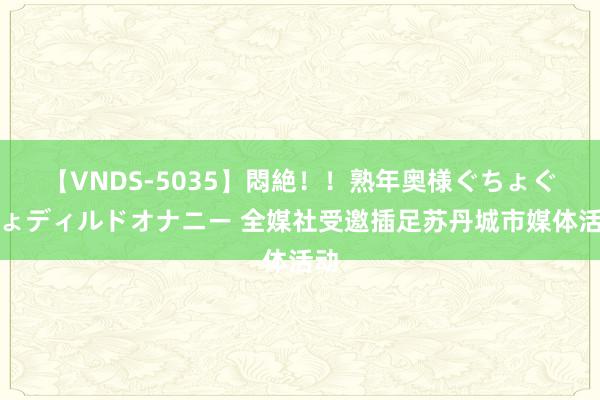 【VNDS-5035】悶絶！！熟年奥様ぐちょぐちょディルドオナニー 全媒社受邀插足苏丹城市媒体活动