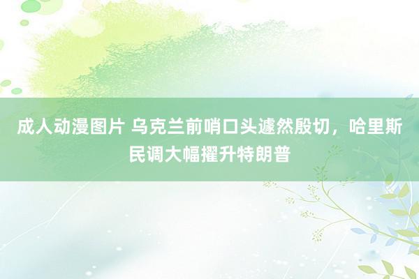 成人动漫图片 乌克兰前哨口头遽然殷切，哈里斯民调大幅擢升特朗普