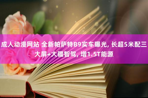 成人动漫网站 全新帕萨特B9实车曝光, 长超5米配三大屏+大疆智驾, 增1.5T能源