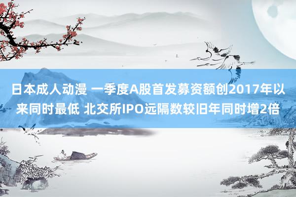 日本成人动漫 一季度A股首发募资额创2017年以来同时最低 北交所IPO远隔数较旧年同时增2倍