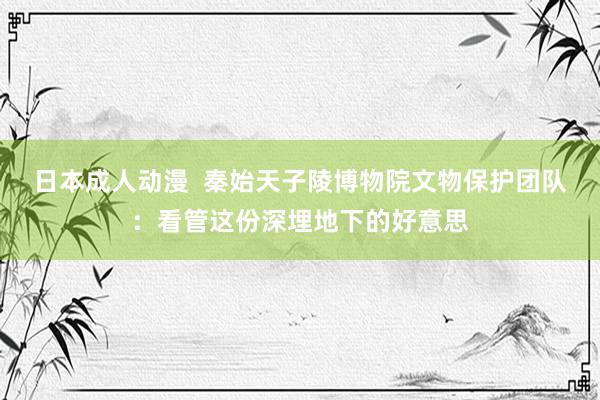 日本成人动漫  秦始天子陵博物院文物保护团队：看管这份深埋地下的好意思