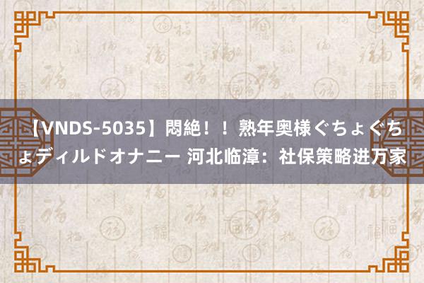 【VNDS-5035】悶絶！！熟年奥様ぐちょぐちょディルドオナニー 河北临漳：社保策略进万家