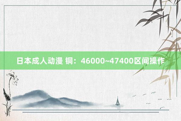 日本成人动漫 铜：46000~47400区间操作