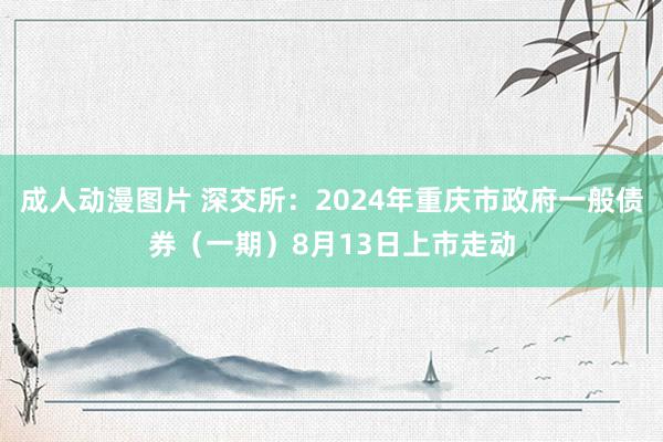 成人动漫图片 深交所：2024年重庆市政府一般债券（一期）8月13日上市走动