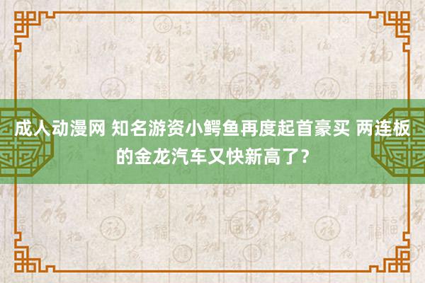 成人动漫网 知名游资小鳄鱼再度起首豪买 两连板的金龙汽车又快新高了？