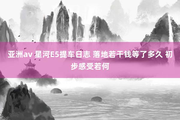 亚洲av 星河E5提车日志 落地若干钱等了多久 初步感受若何