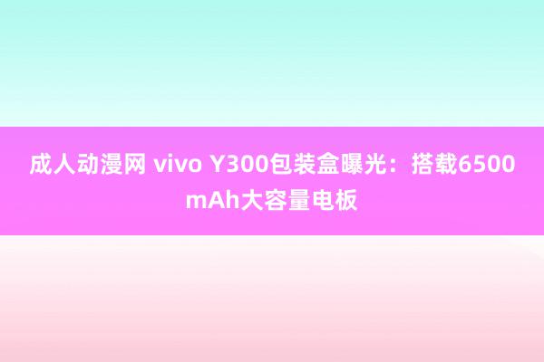 成人动漫网 vivo Y300包装盒曝光：搭载6500mAh大容量电板