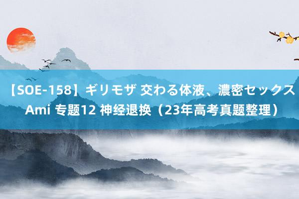 【SOE-158】ギリモザ 交わる体液、濃密セックス Ami 专题12 神经退换（23年高考真题整理）