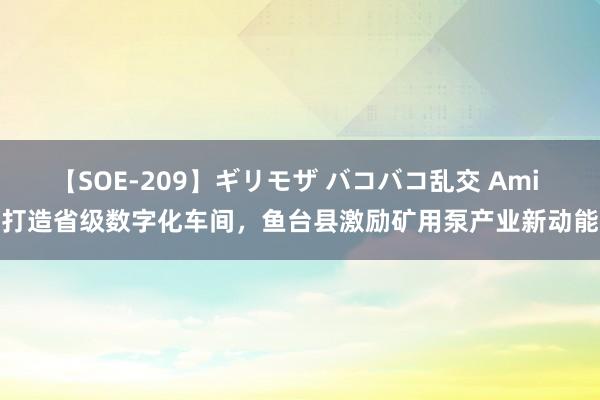 【SOE-209】ギリモザ バコバコ乱交 Ami 打造省级数字化车间，鱼台县激励矿用泵产业新动能