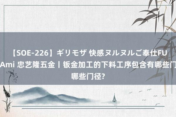 【SOE-226】ギリモザ 快感ヌルヌルご奉仕FUCK Ami 忠艺隆五金丨钣金加工的下料工序包含有哪些门径?